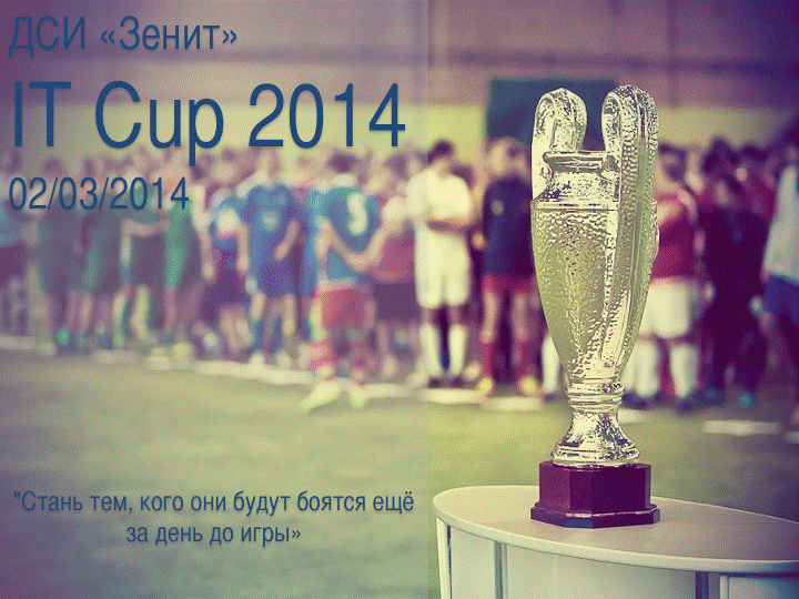 IT Cup 2014