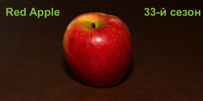 stockvault-apple194831.jpg